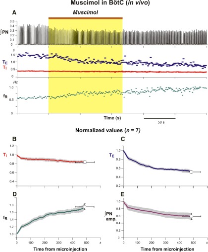 Figure 13.