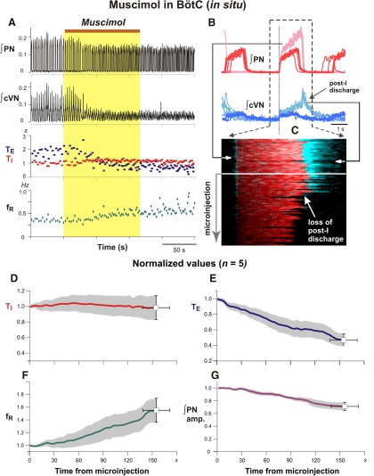 Figure 14.