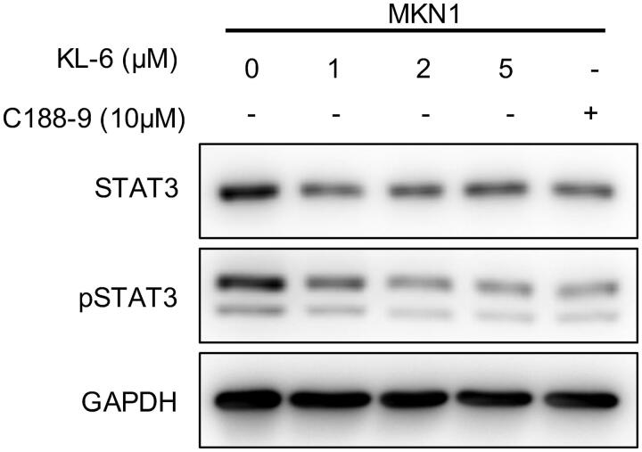 Figure 6.