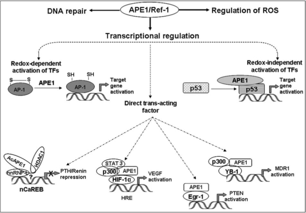 FIG. 6.