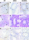 Fig. 3.