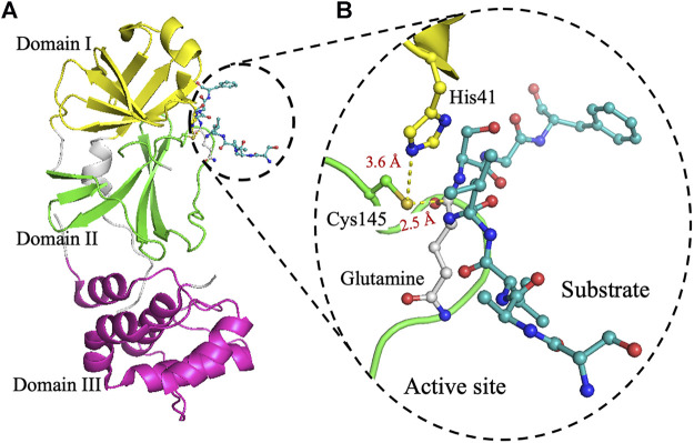 FIGURE 1