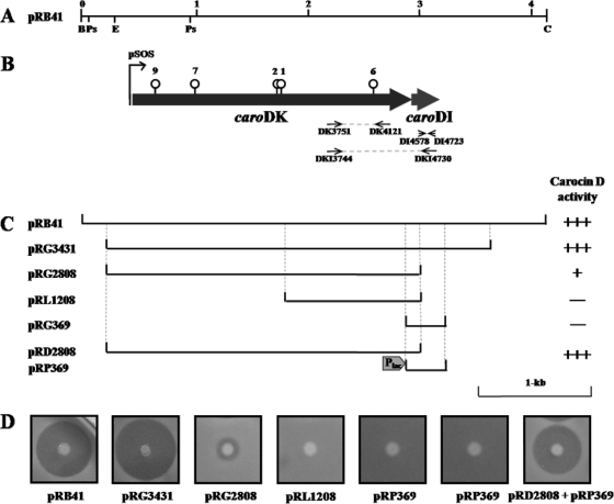 FIG. 2.