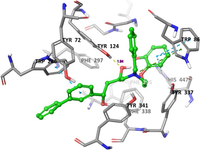 Figure 10