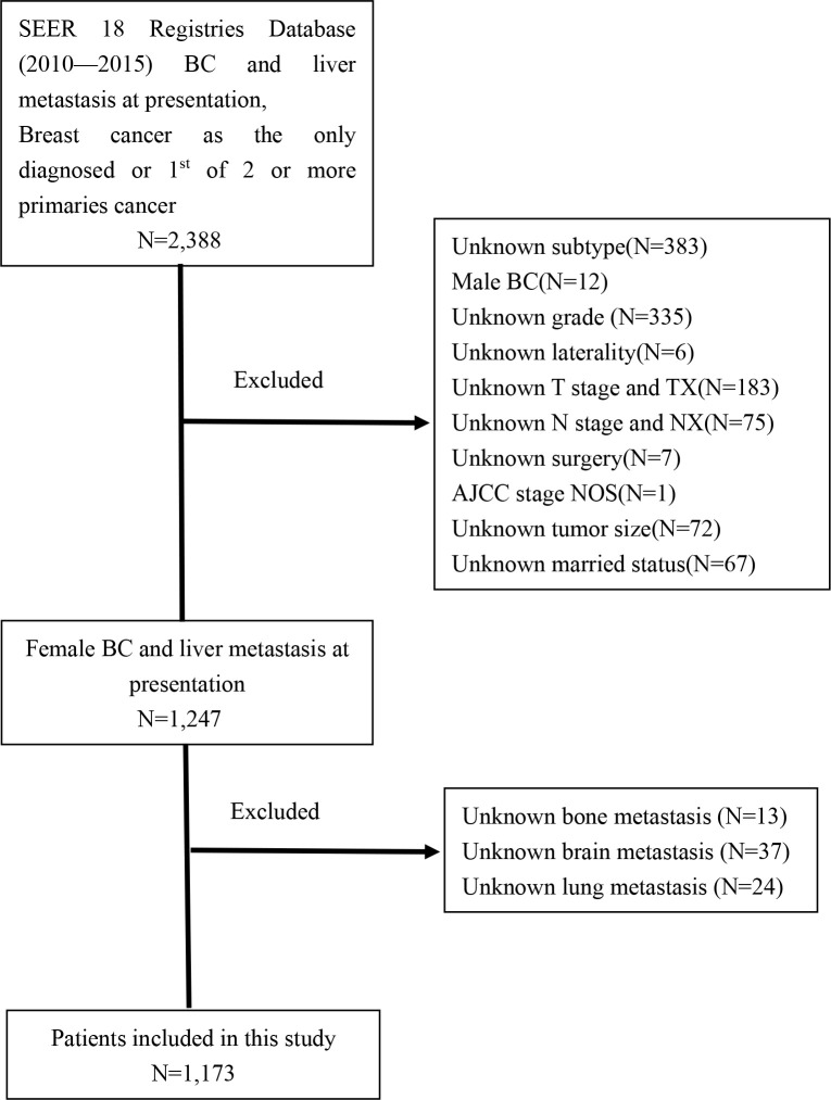 Figure 1