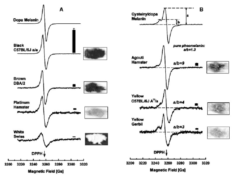 Figure 2 (Fig S2)