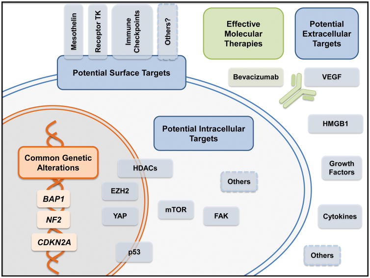 Figure 1 (Key Figure)