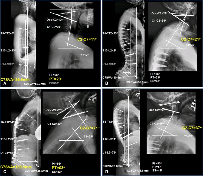 Fig. 3