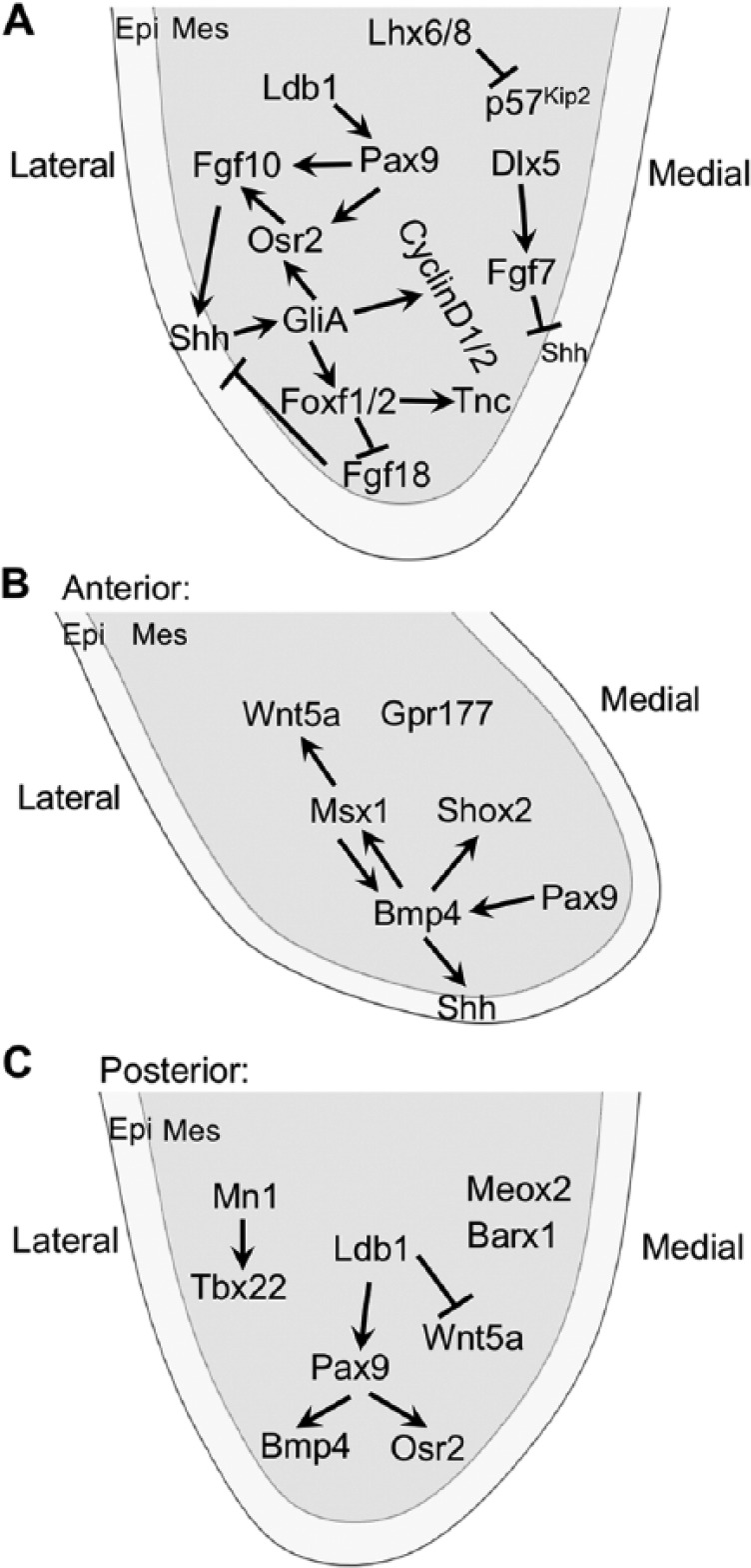 Figure 2.