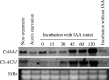 F<sc>ig</sc>. 6.