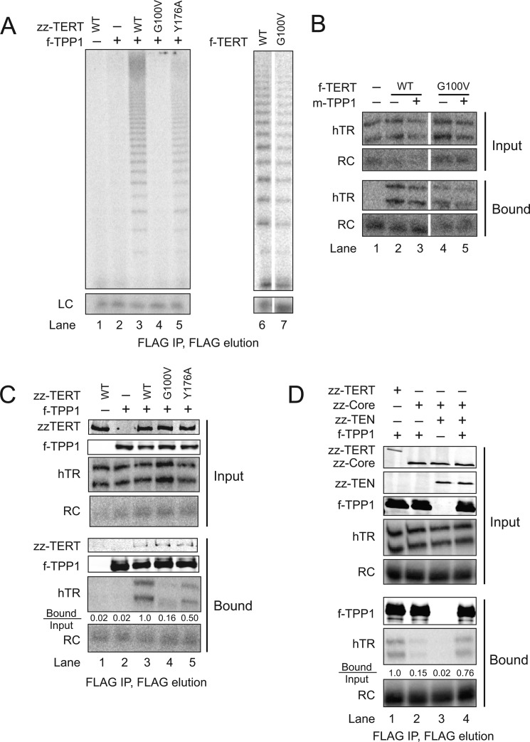 FIGURE 2.