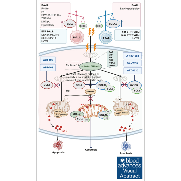 graphic file with name BLOODA_ADV-2024-013423-ga1.jpg