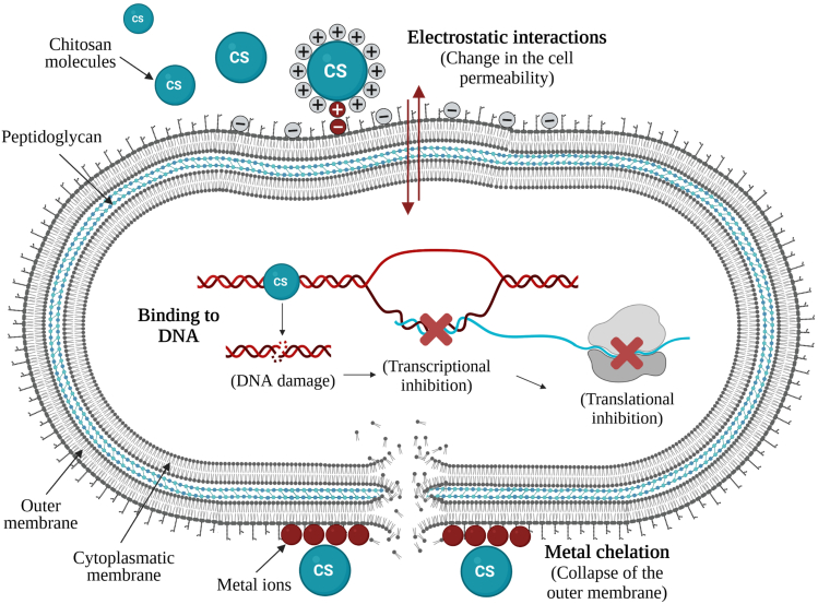 Figure 2