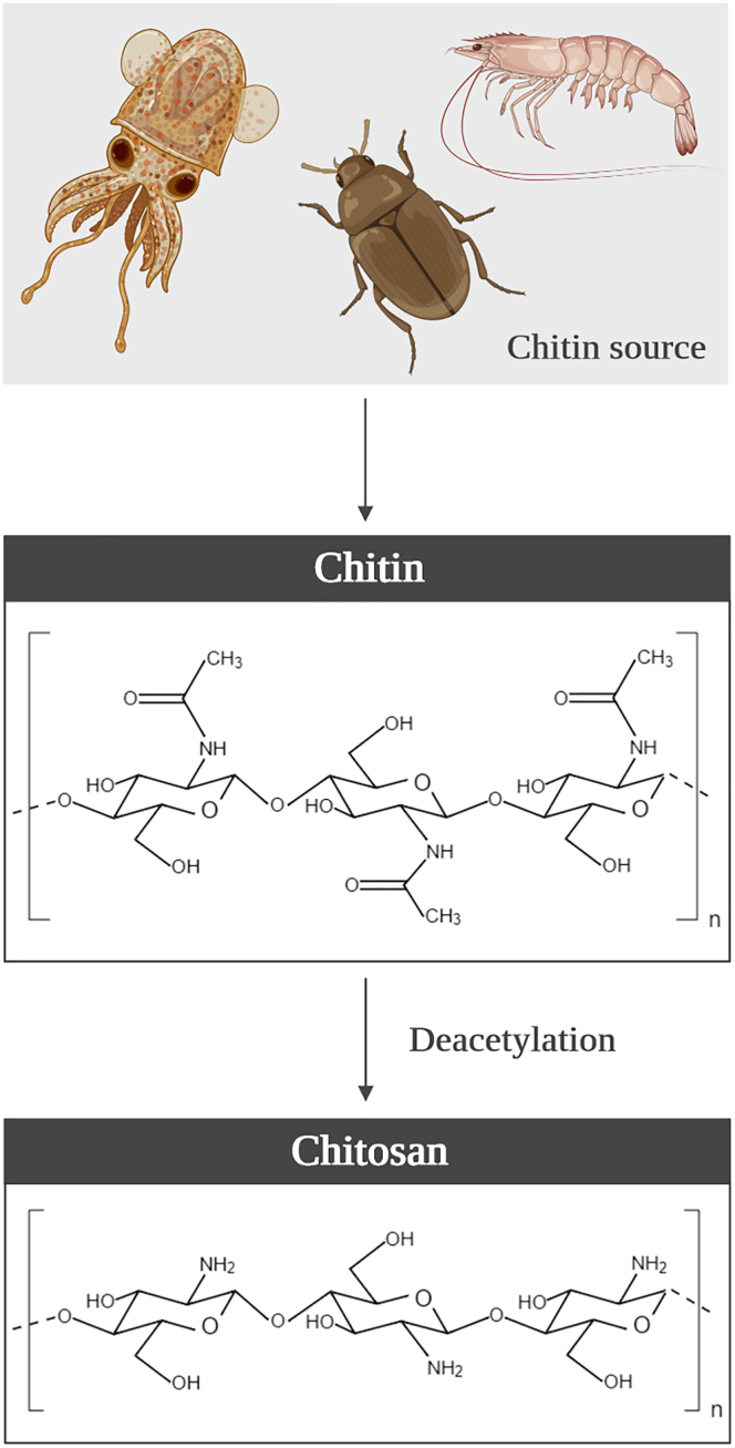 Figure 1