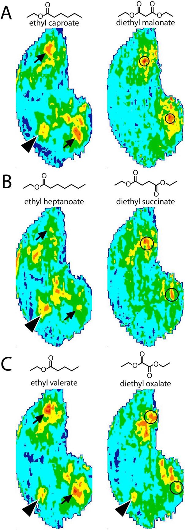 Fig. 3