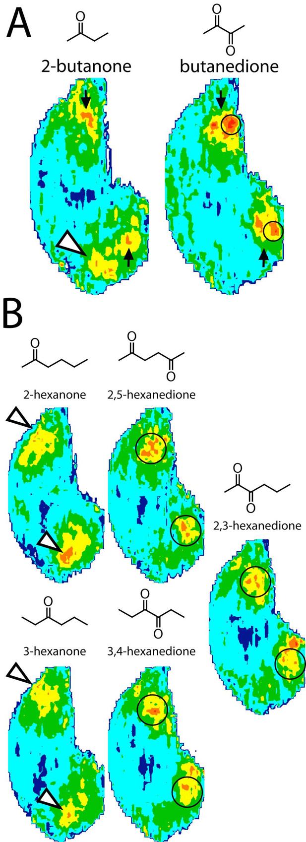 Fig. 2