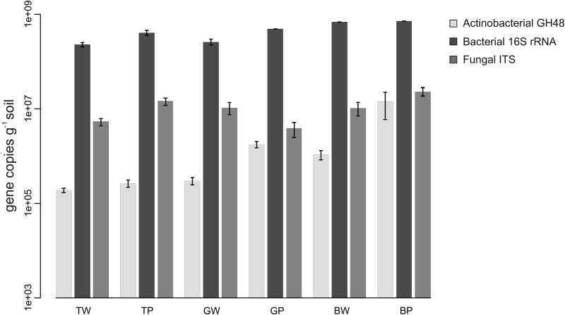 FIG 3