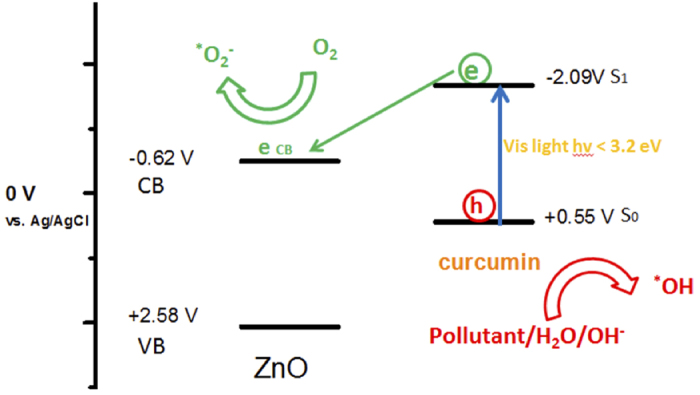 Figure 12