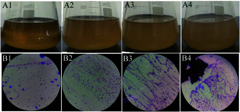 Fig. 3