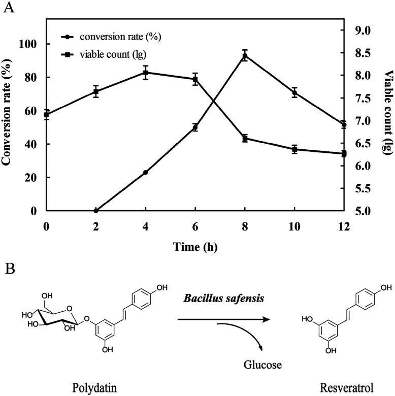 Fig. 4