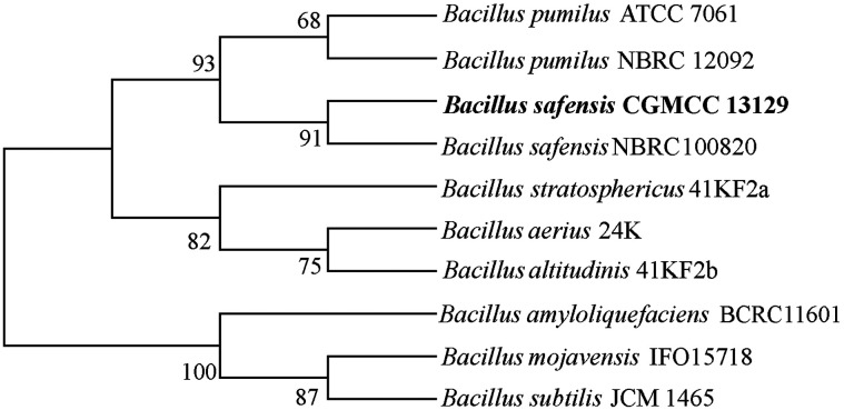 Fig. 2