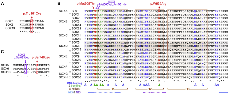 Figure 4