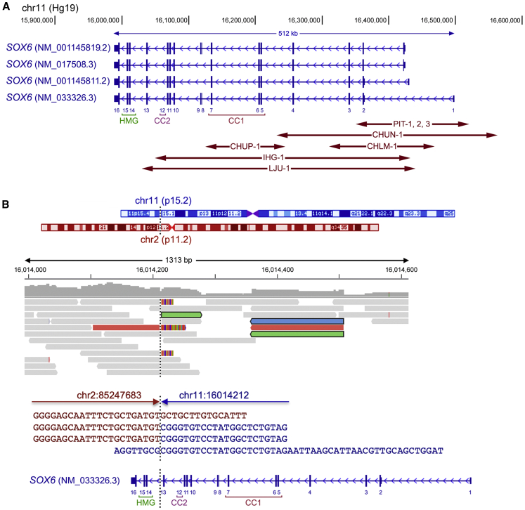 Figure 2