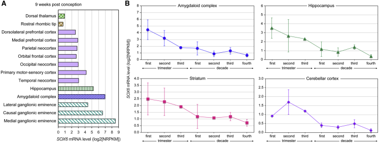 Figure 6