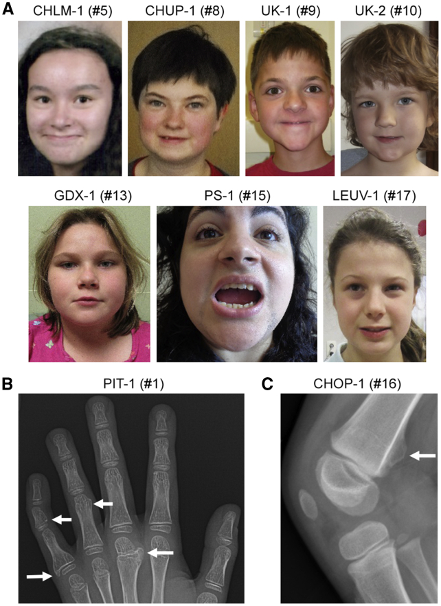 Figure 1