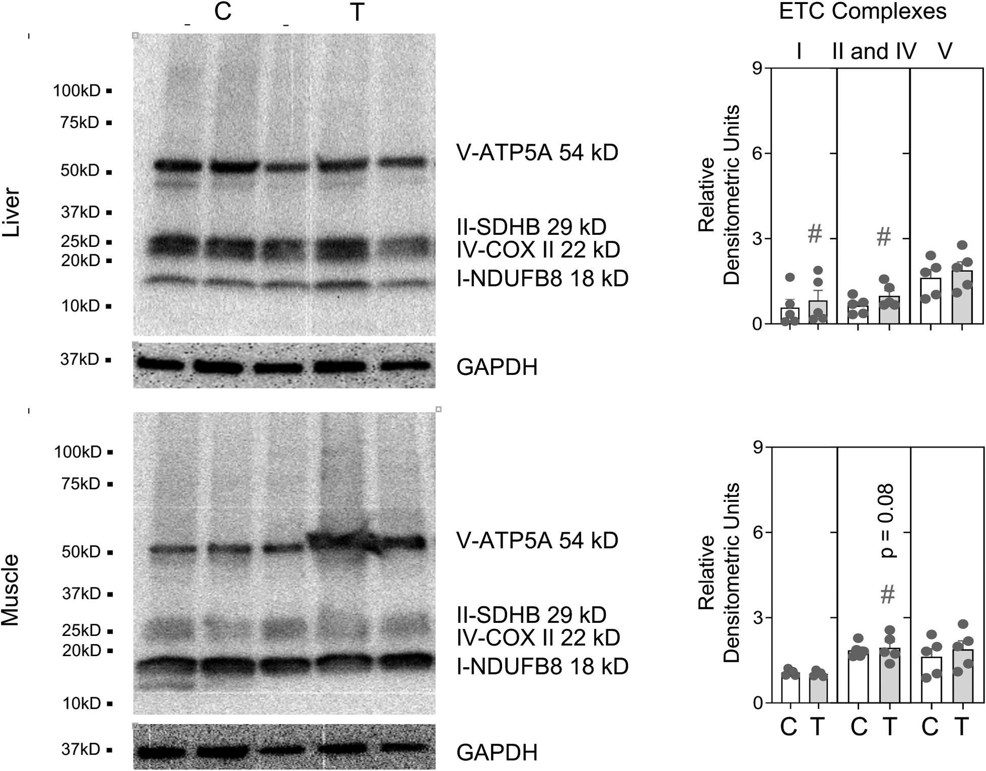 Figure 3: