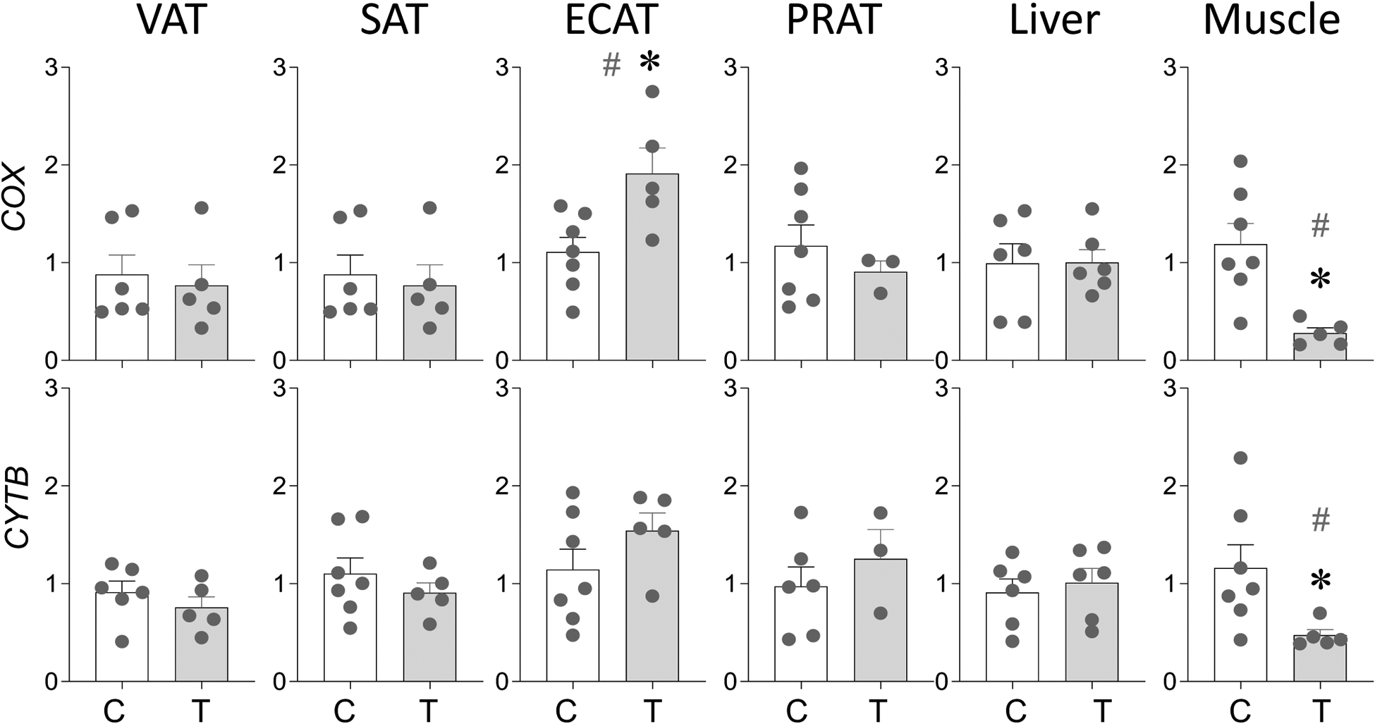 Figure 4: