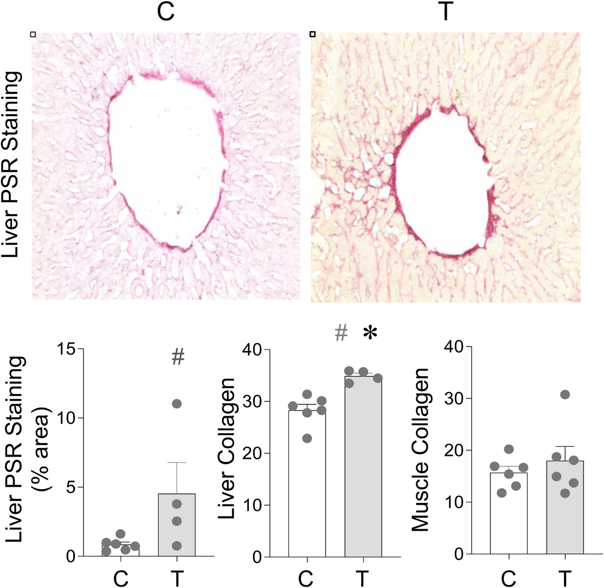 Figure 7: