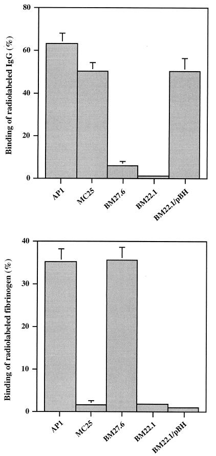 FIG. 1