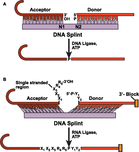 Figure 9.