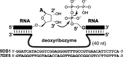 Figure 10.