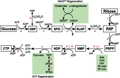 Figure 7.