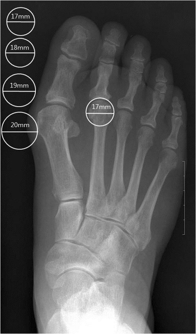 Fig. 4
