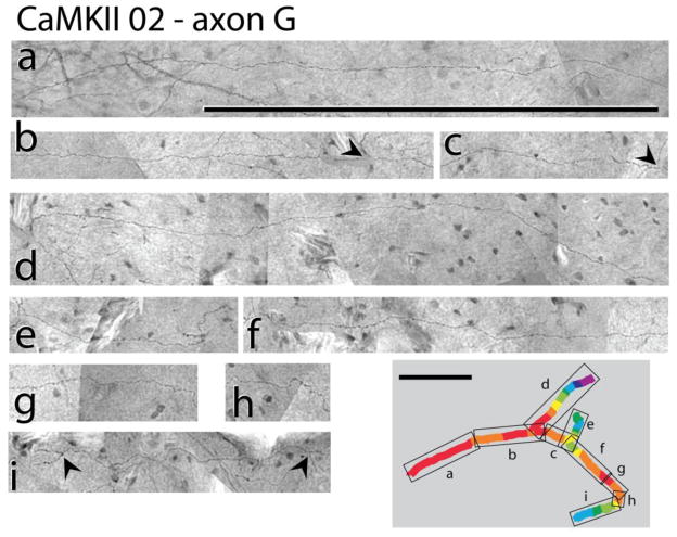 Fig. 12