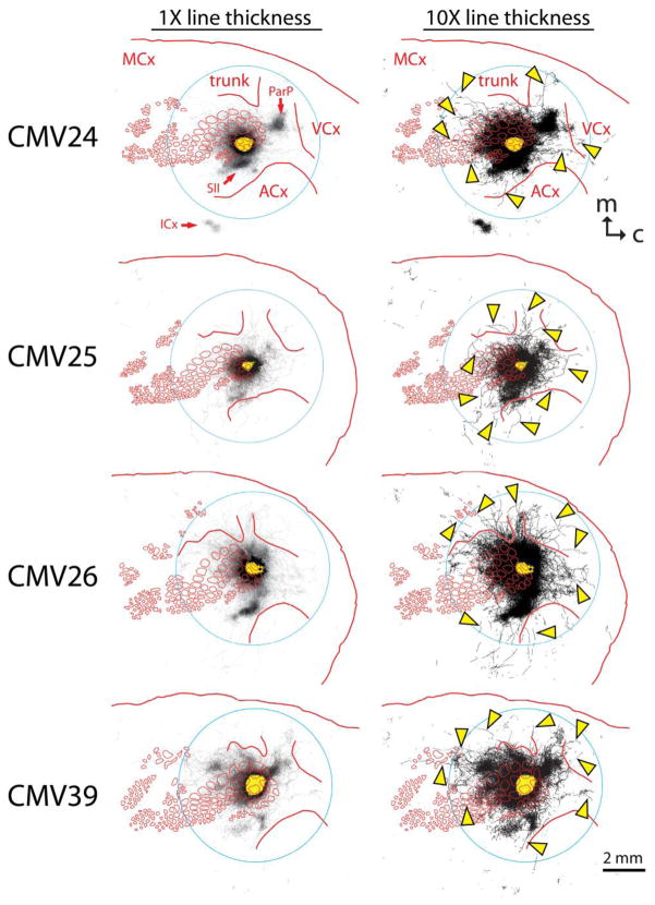 Fig. 2