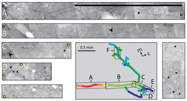 Fig. 10