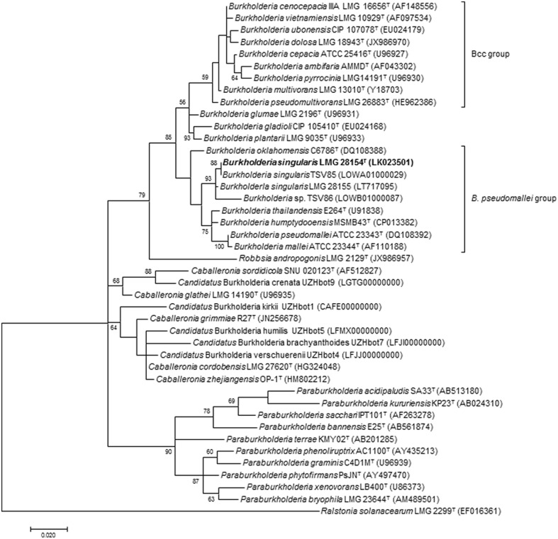 FIGURE 1