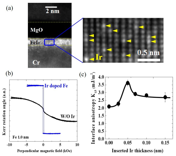 Figure 13