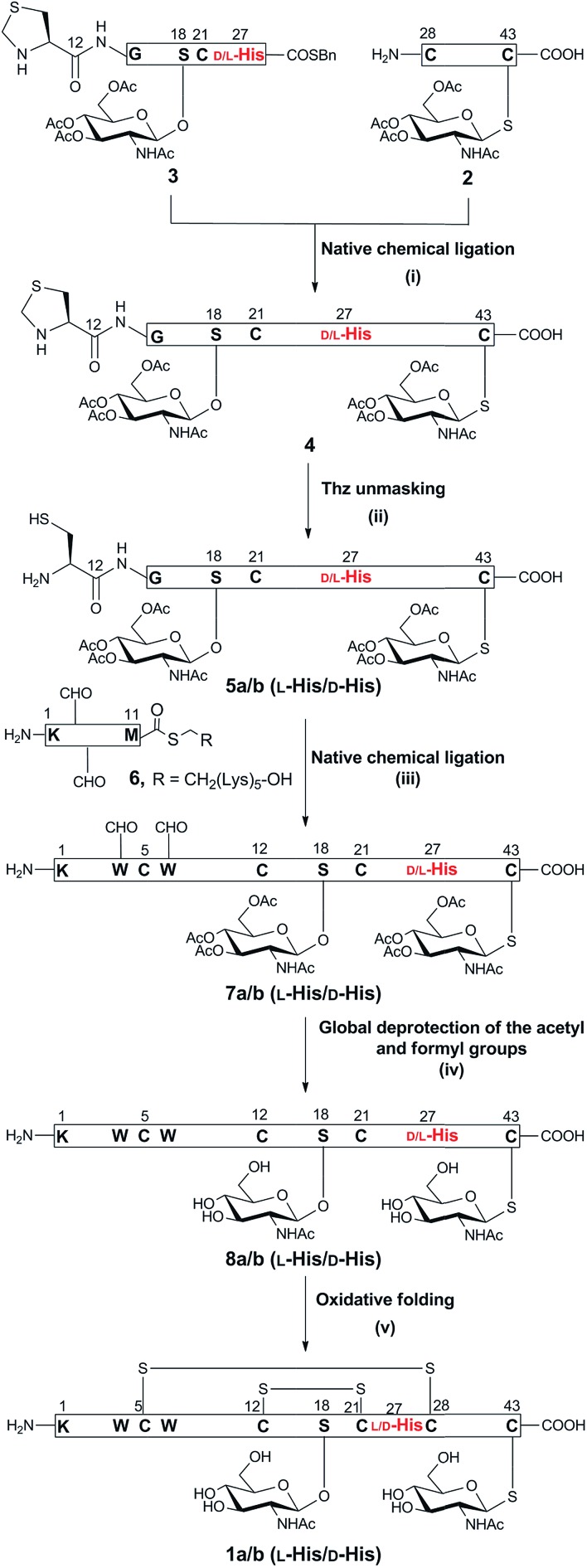 Scheme 1