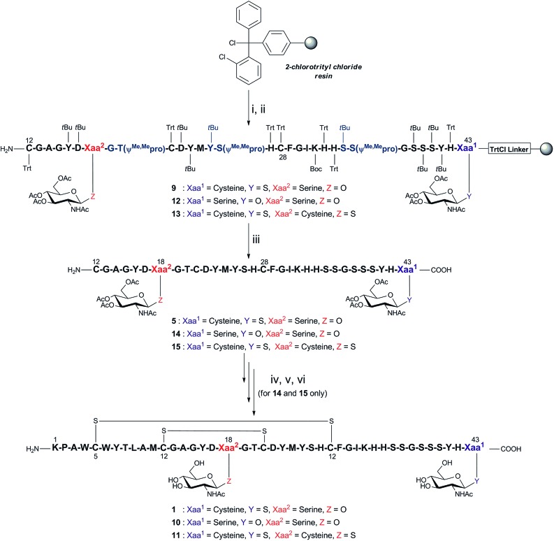 Scheme 2