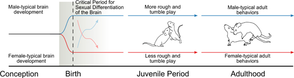 Figure 1: