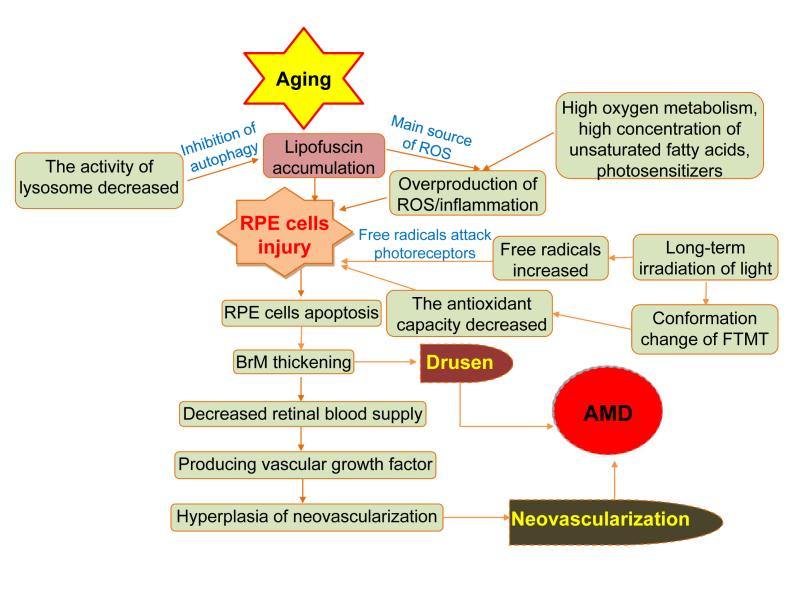 Figure 4