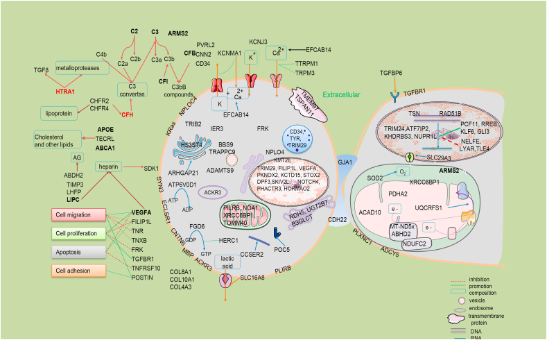 Figure 3