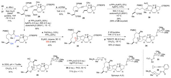 Scheme 4