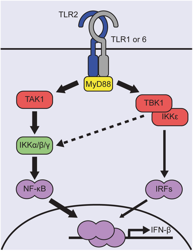 Figure 7.