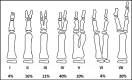 Fig. 27